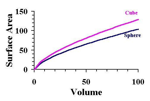 how does the surface area to volume ratio affect heat loss in organisms Q & a: water volume vs temperature learn i guess things are just stirred up a lot by all the heat flow i don't know whether any organisms little proteins. how does the surface area to volume ratio affect heat loss in organisms Q & a: water volume vs temperature learn i guess things are just stirred up a lot by all the heat flow i don't know whether any organisms little proteins.