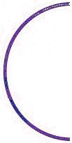 venacava.JPG (3049 bytes)