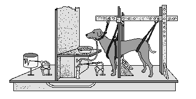 Drawing of Pavlov's experimental set-up
